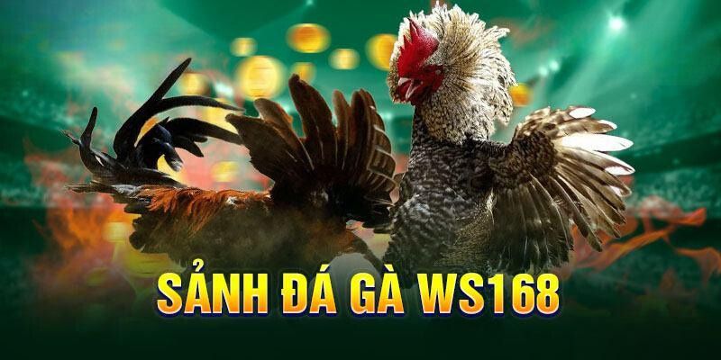 Cách thức tham gia đổi thưởng trên sảnh đá gà WS168