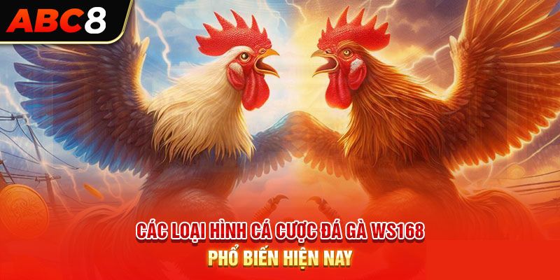 Loại hình cá cược đá gà được yêu thích nhất trên sảnh WS168